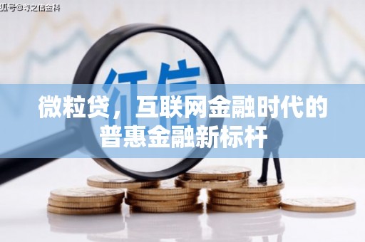 硚口微粒贷，互联网金融时代的普惠金融新标杆