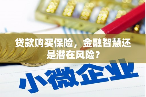 硚口贷款购买保险，金融智慧还是潜在风险？