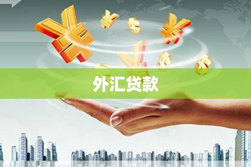 硚口外汇贷款