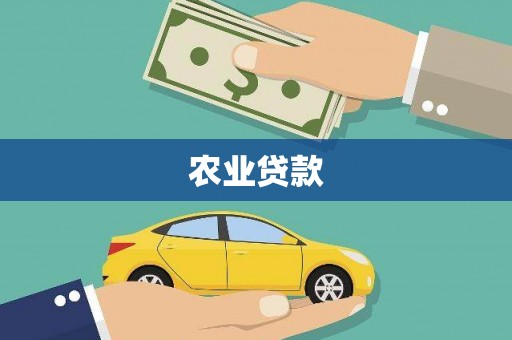 硚口农业贷款