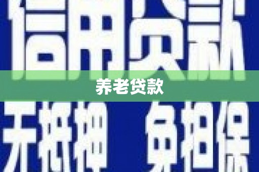硚口养老贷款