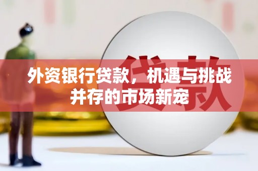硚口外资银行贷款，机遇与挑战并存的市场新宠