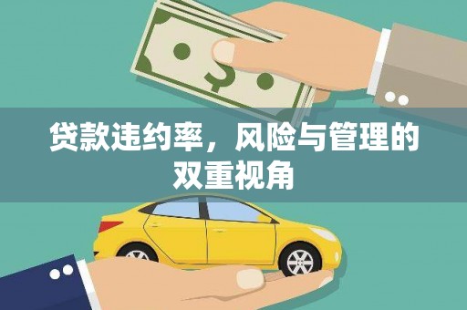硚口贷款违约率，风险与管理的双重视角