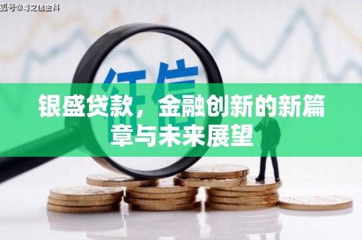 硚口银盛贷款，金融创新的新篇章与未来展望