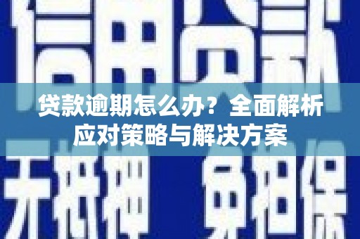 硚口贷款逾期怎么办？全面解析应对策略与解决方案