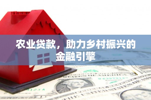 硚口农业贷款，助力乡村振兴的金融引擎
