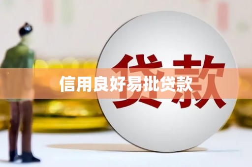 硚口信用良好易批贷款