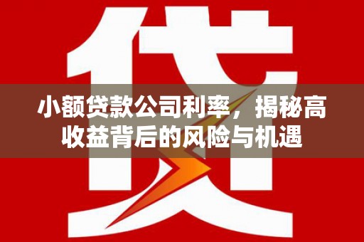 硚口小额贷款公司利率，揭秘高收益背后的风险与机遇