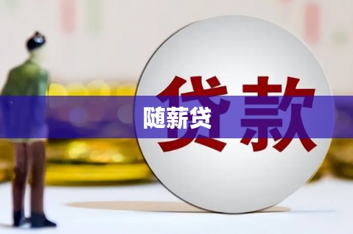硚口随薪贷
