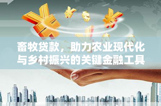 硚口畜牧贷款，助力农业现代化与乡村振兴的关键金融工具