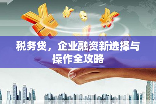 硚口税务贷，企业融资新选择与操作全攻略
