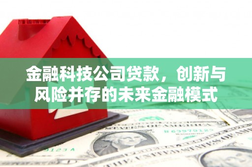 硚口金融科技公司贷款，创新与风险并存的未来金融模式