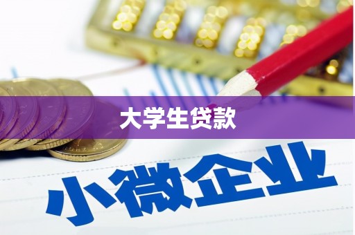 硚口大学生贷款