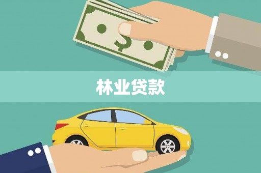 硚口林业贷款