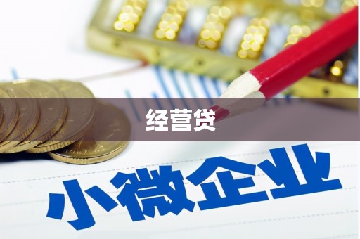 硚口经营贷