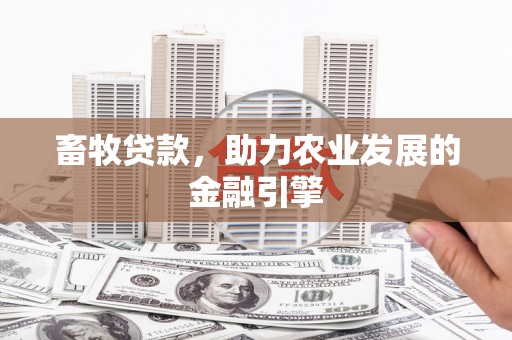 硚口畜牧贷款，助力农业发展的金融引擎