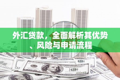 硚口外汇贷款，全面解析其优势、风险与申请流程