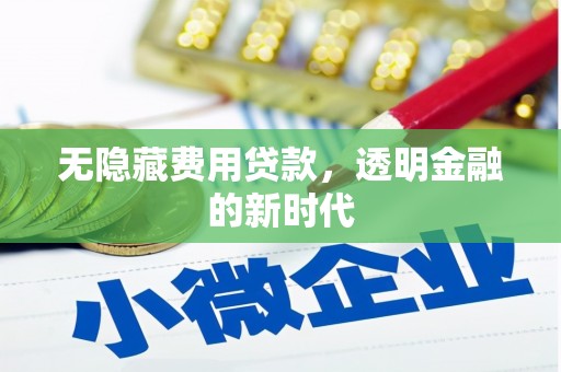 硚口无隐藏费用贷款，透明金融的新时代