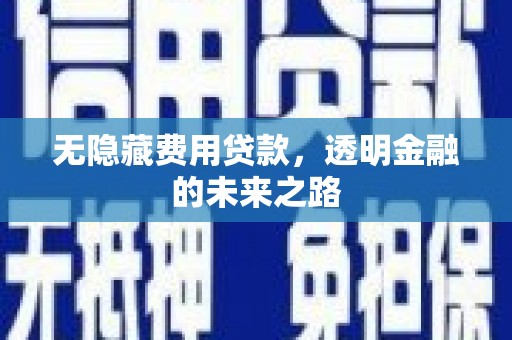 硚口无隐藏费用贷款，透明金融的未来之路