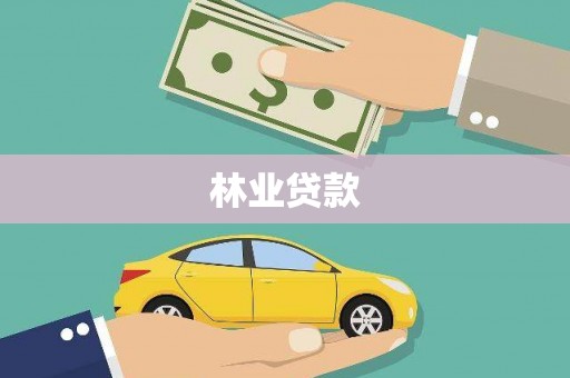 硚口林业贷款
