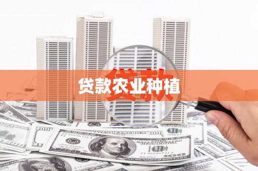 硚口贷款农业种植