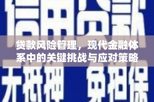 硚口贷款风险管理，现代金融体系中的关键挑战与应对策略