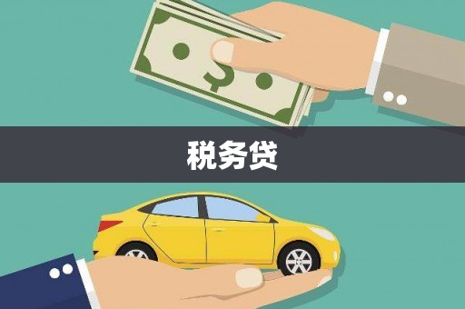 硚口税务贷