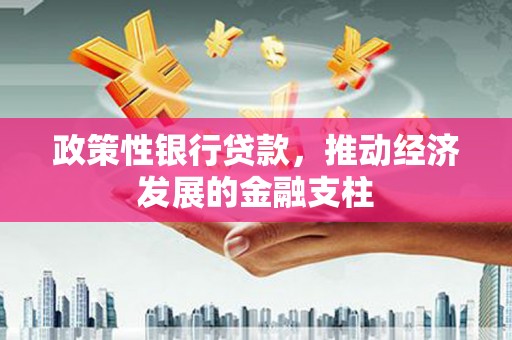硚口政策性银行贷款，推动经济发展的金融支柱