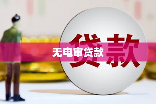 硚口无电审贷款