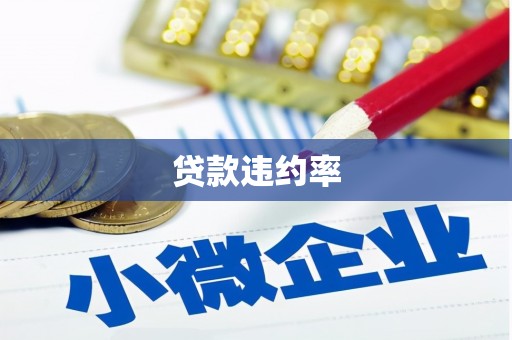 硚口贷款违约率