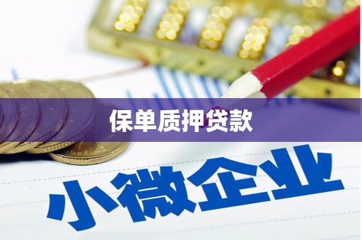 硚口保单质押贷款