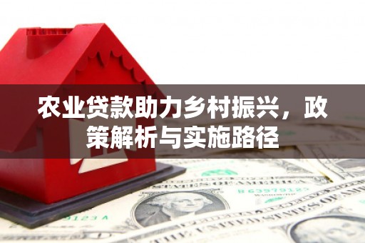硚口农业贷款助力乡村振兴，政策解析与实施路径