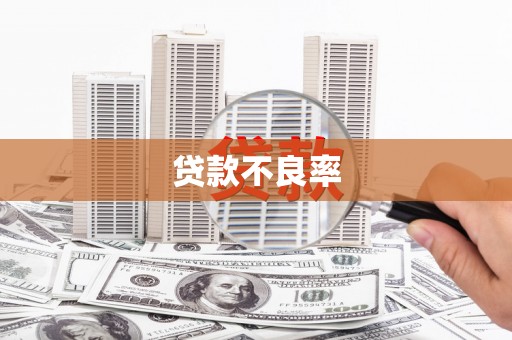 硚口贷款不良率