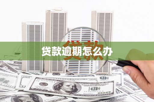 硚口贷款逾期怎么办