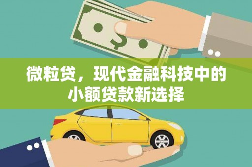 硚口微粒贷，现代金融科技中的小额贷款新选择