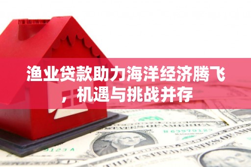 硚口渔业贷款助力海洋经济腾飞，机遇与挑战并存