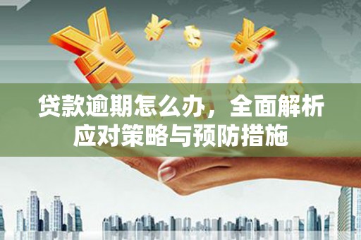 硚口贷款逾期怎么办，全面解析应对策略与预防措施