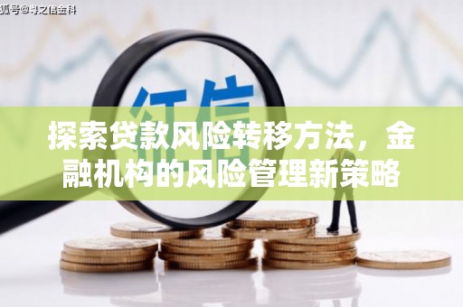 硚口探索贷款风险转移方法，金融机构的风险管理新策略