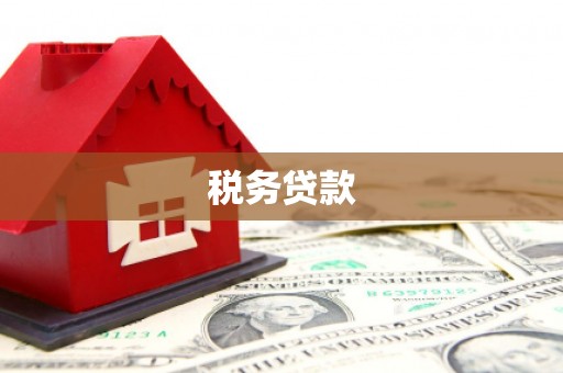 硚口税务贷款