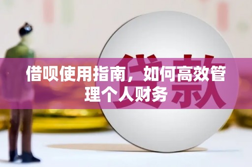 硚口借呗使用指南，如何高效管理个人财务