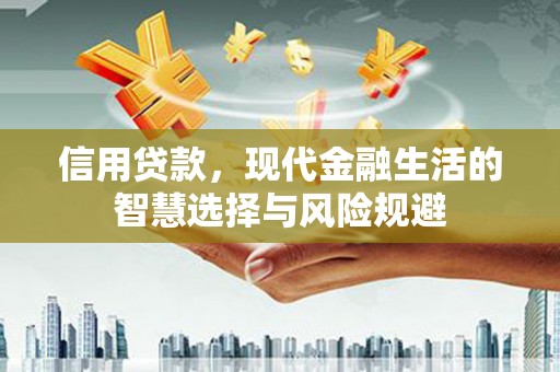硚口信用贷款，现代金融生活的智慧选择与风险规避