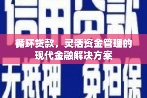 硚口循环贷款，灵活资金管理的现代金融解决方案