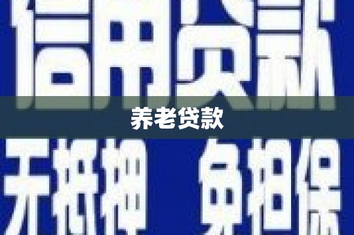 硚口养老贷款