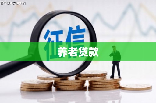 硚口养老贷款