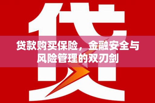 硚口贷款购买保险，金融安全与风险管理的双刃剑