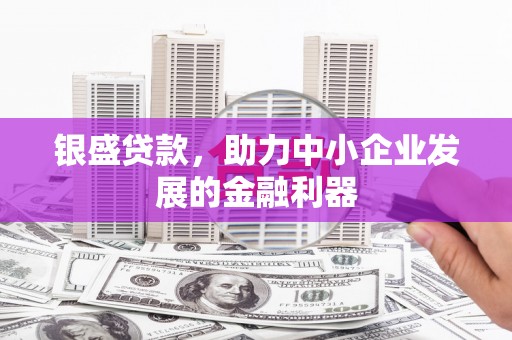 硚口银盛贷款，助力中小企业发展的金融利器