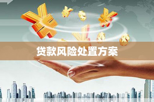硚口贷款风险处置方案