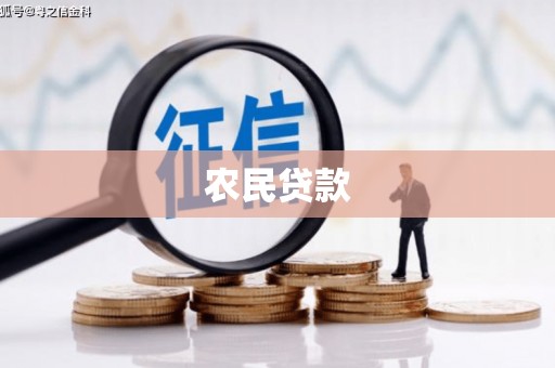 硚口农民贷款