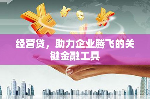 硚口经营贷，助力企业腾飞的关键金融工具