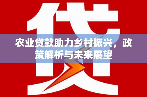 硚口农业贷款助力乡村振兴，政策解析与未来展望